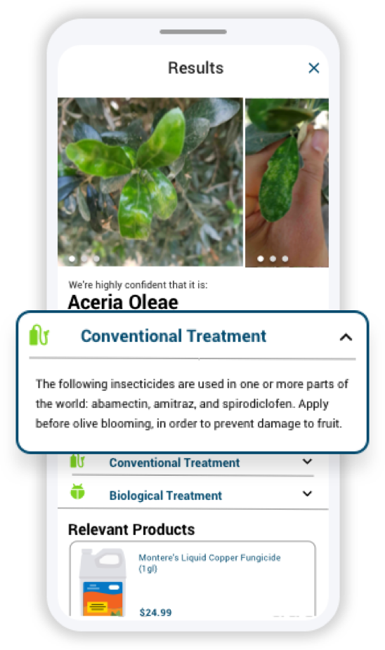 אגריו | אפליקציה המזהה מחלות ומזיקים בצמחים