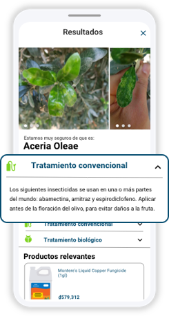 Agrio | Una Aplicación que identifica enfermedades y plagas en las plantas