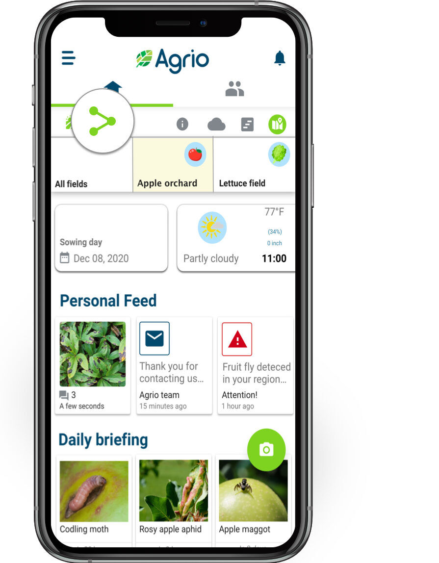 אפליקציה לפיקוח מזיקים וניהול שדות חקלאיים